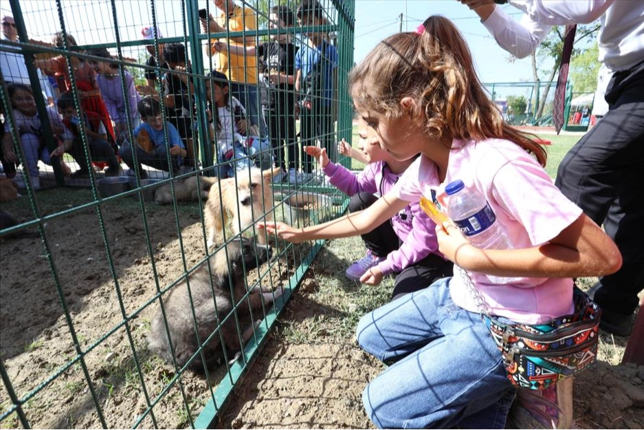 İnegöl Belediyesi 4 Ekim Hayvanları Koruma Günü kapsamında düzenlediği organizasyonda