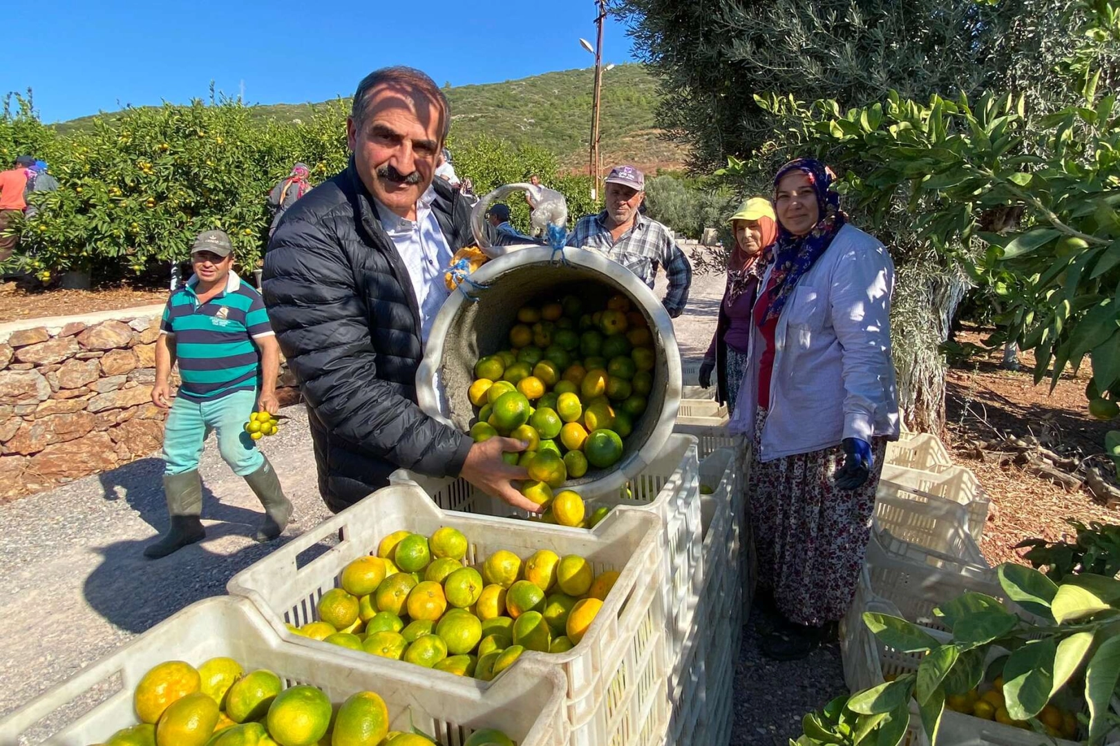 Sonbaharın habercisi, grip ve soğuk algınlıklarının doğal şifa deposu satsuma