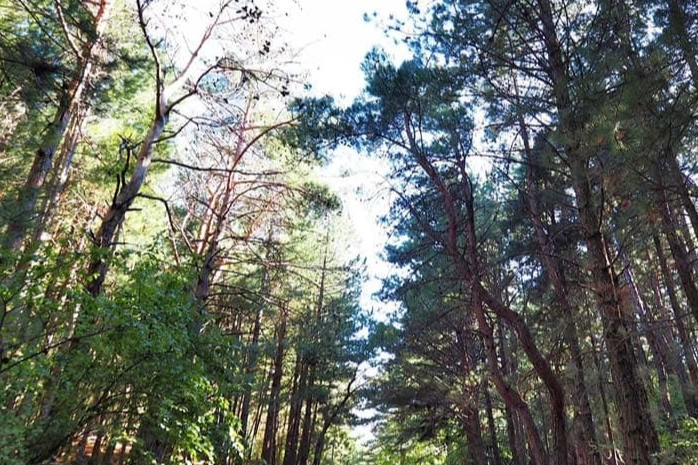 CHP Çanakkale İl Başkanı Levent Gürbüz, Kazdağları Ekoloji Platformu Bileşenleri