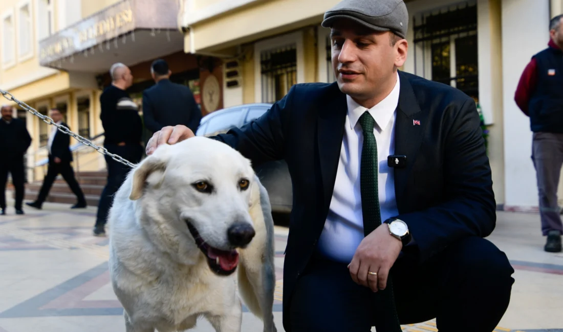 Kamuoyunda büyük tartışmalara neden olan ve sokak hayvanlarının uyutulmasını öngören