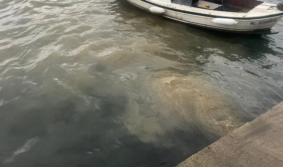 Çevre, Şehircilik ve İklim Değişikliği Bakanlığı, İstanbul Üsküdar’daki Kuleli Caddesi’nde