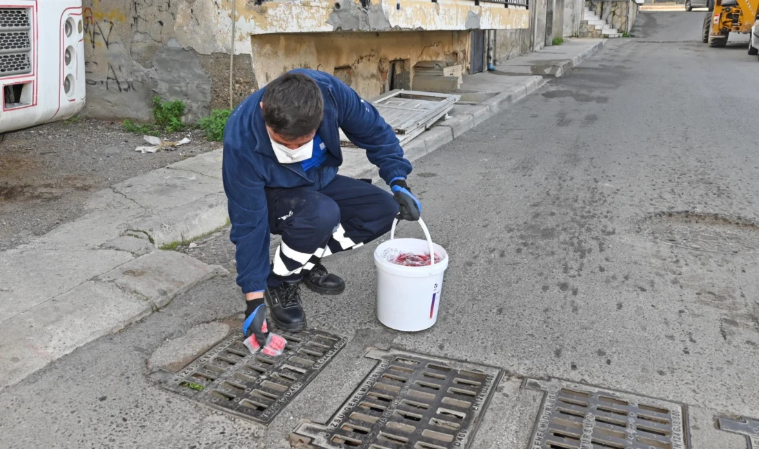 İzmir’de Karabağlar Belediyesi ve İzmir Büyükşehir Belediyesi, halk sağlığını korumak