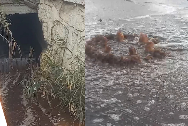 Çevre, Şehircilik ve İklim Değişikliği Bakanlığı ekipleri, İzmir’deHarmandalı Katı Atık