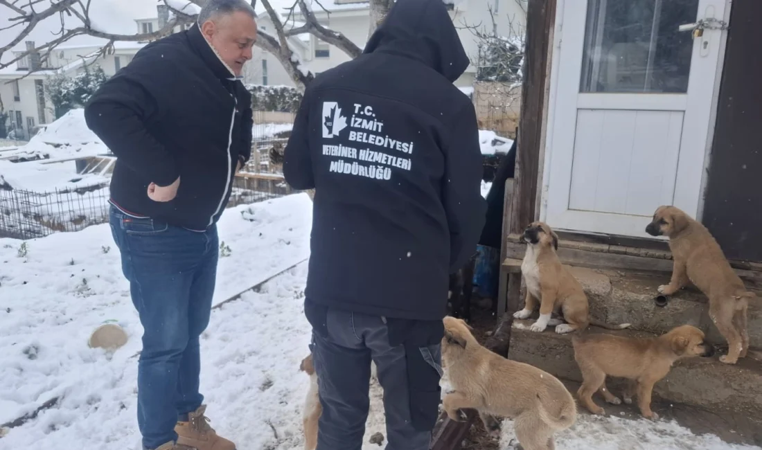 Kocaeli İzmit Belediyesi, kar yağışının etkisini gösterdiği kent genelinde patili dostlarımızı