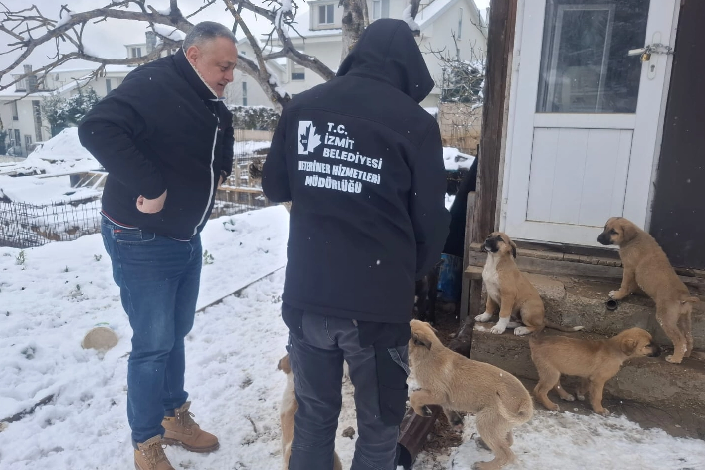 Kocaeli İzmit Belediyesi, kar yağışının etkisini gösterdiği kent genelinde patili dostlarımızı