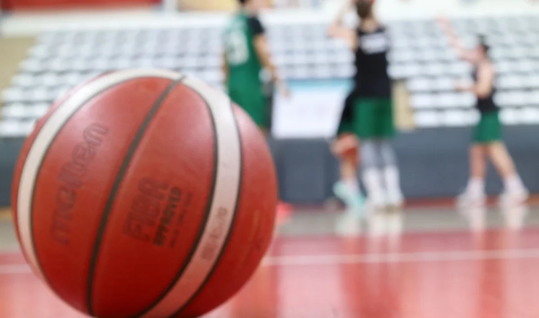 Sakarya Büyükşehir Basketbol takımı Türkiye Erkekler Basketbol 2.Ligi Play-Off elemeleri